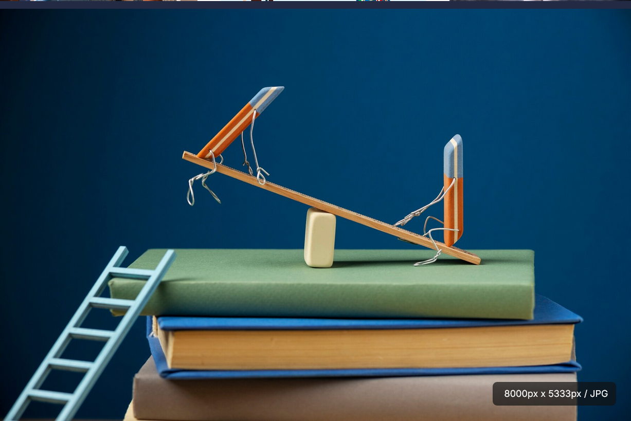 The Role of Corporate Organizations in Tackling Educational Inequality